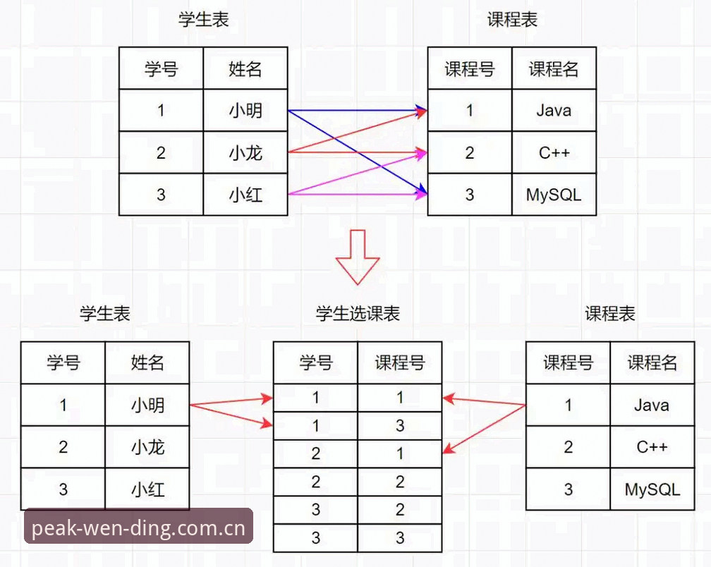 问鼎娱乐网址常见问题全面解析：从下载到数据查询的实用经验分享